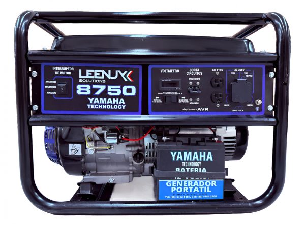 Planta De Luz Generador 8750/5000w Leenjy Arranque Electrico